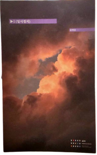 일시정지（一時停止）