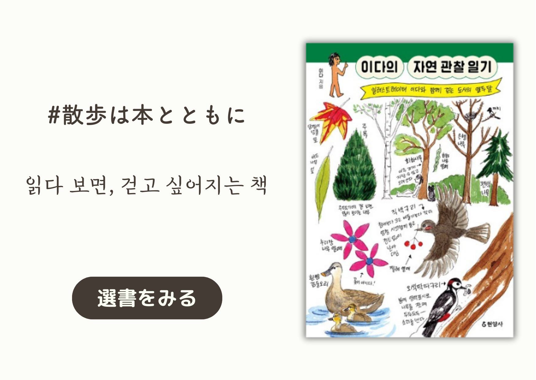 散歩は本とともに｜읽다 보면, 걷고 싶어지는 책