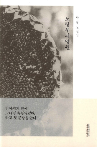 노랑무늬영원（『回復する人間』韓国語原書）