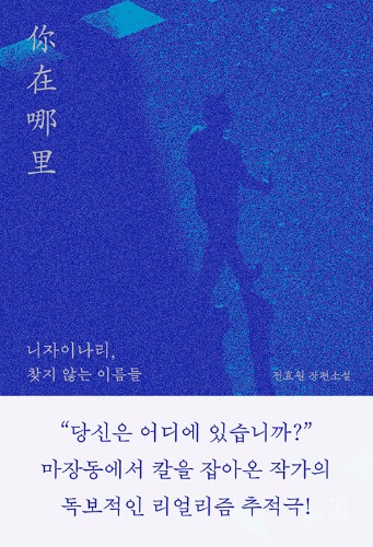 니자이나리, 찾지 않는 이름들（ニーザイナーリー、探されない名前たち）