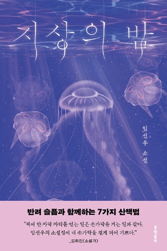 지상의 밤（地上の夜）