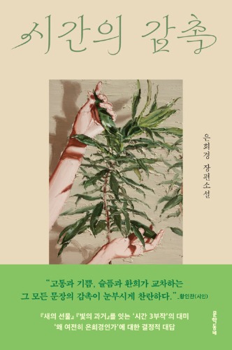 시간의 감촉（時間の感触）