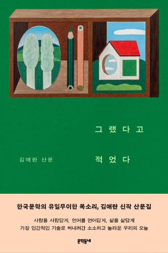 그랬다고 적었다（そうだったと書いた）