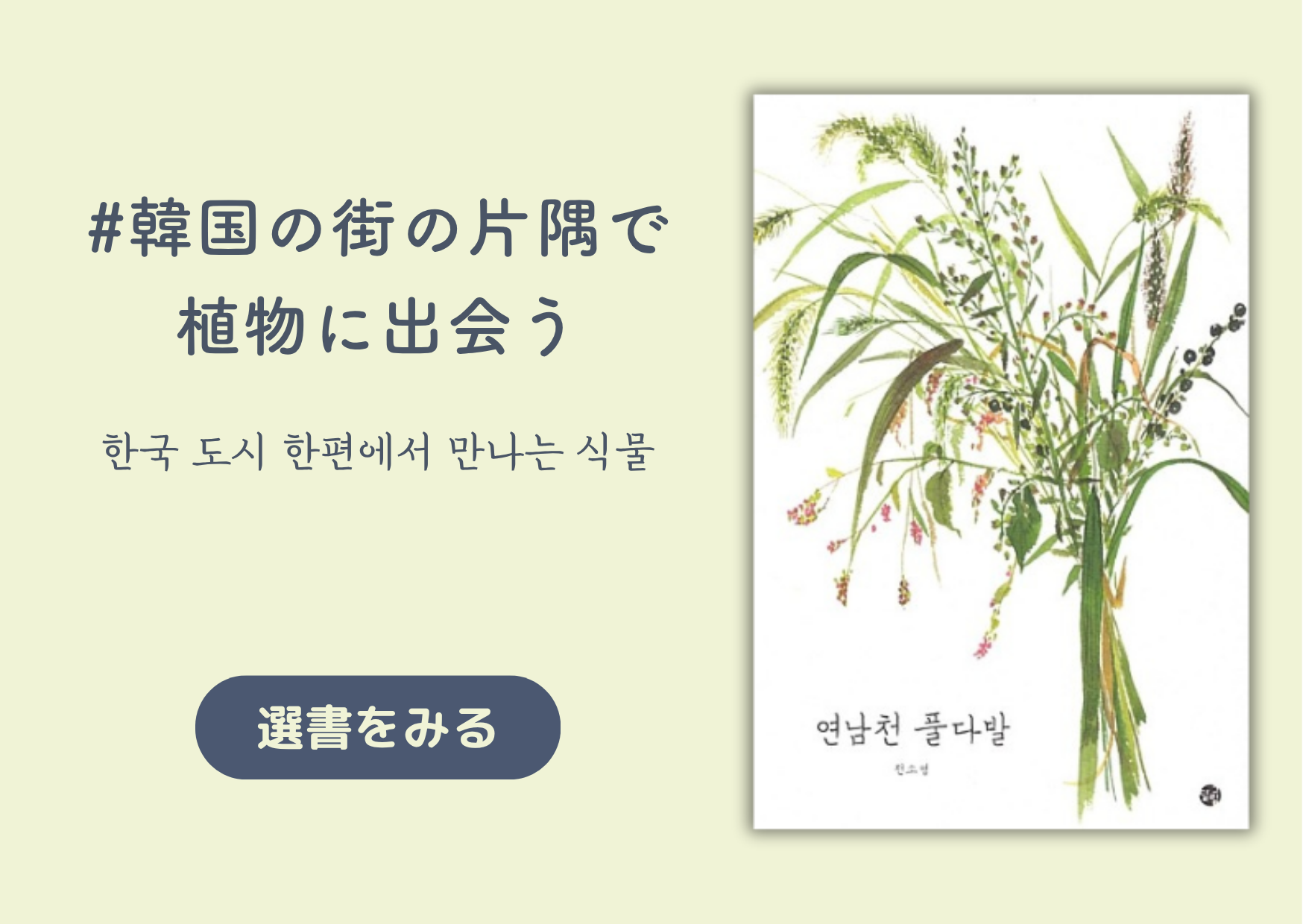 韓国の街の片隅で植物に出会う｜한국 도시 한편에서 만나는 식물